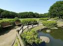 公園　行田公園（公園）まで1138m