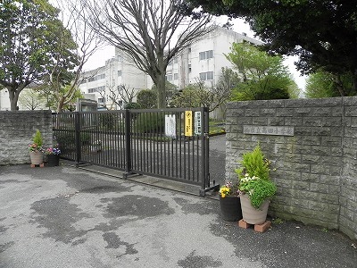 小学校　柏市立高田小学校（小学校）まで550m