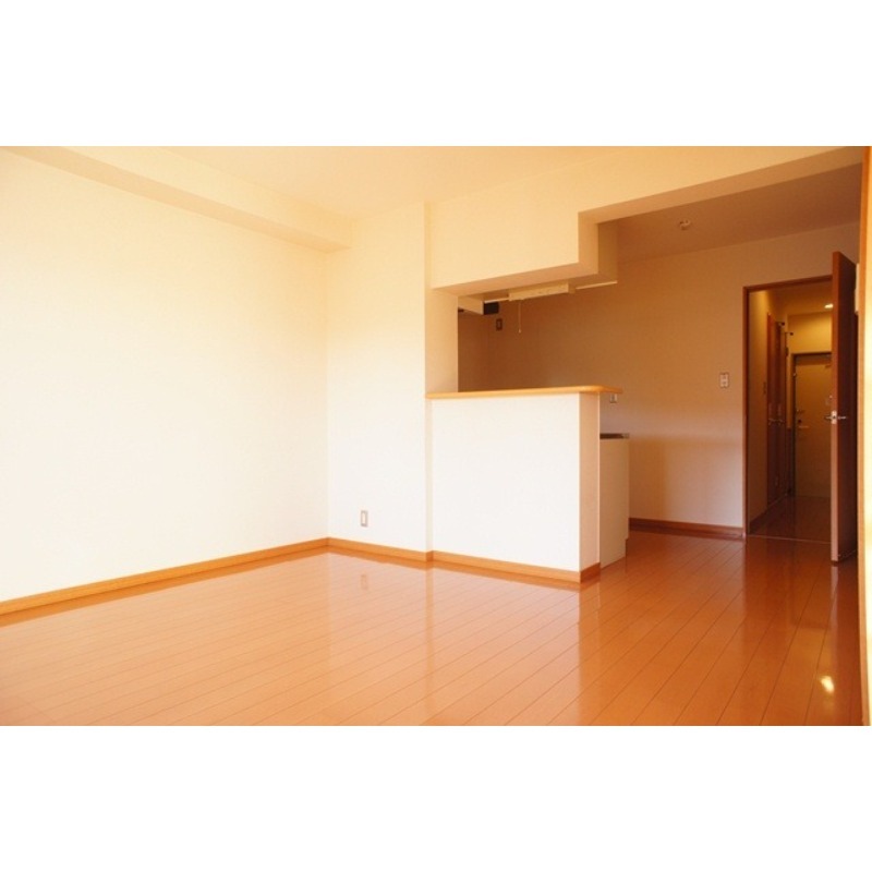 居室・リビング　図面と現状に相違がある場合には現状を優先