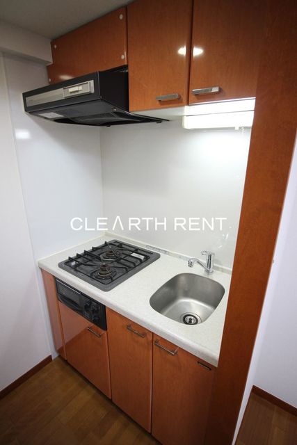 キッチン　使い勝手の良いシステムキッチン/グリル付