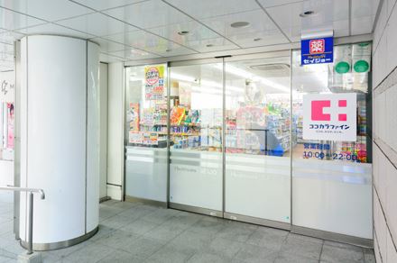 ドラックストア　セイジョー目黒店（ドラッグストア）まで100m