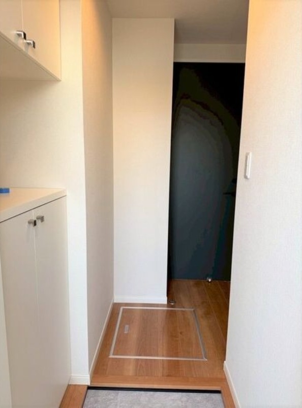 玄関　図面と現状に相違がある場合には現状を優先
