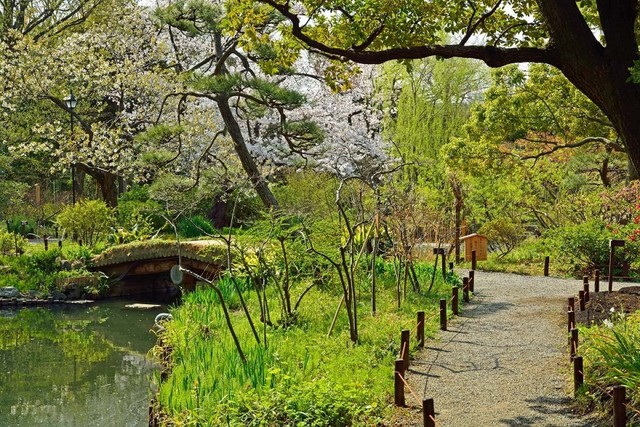 その他　向島百花園（その他）まで346m