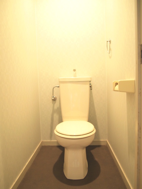 トイレ　落ち着いた色調のトイレです