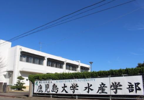 大学・短大　国立大学法人鹿児島大学水産学部（大学・短大）まで385m