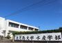 大学・短大　国立大学法人鹿児島大学水産学部（大学・短大）まで385m
