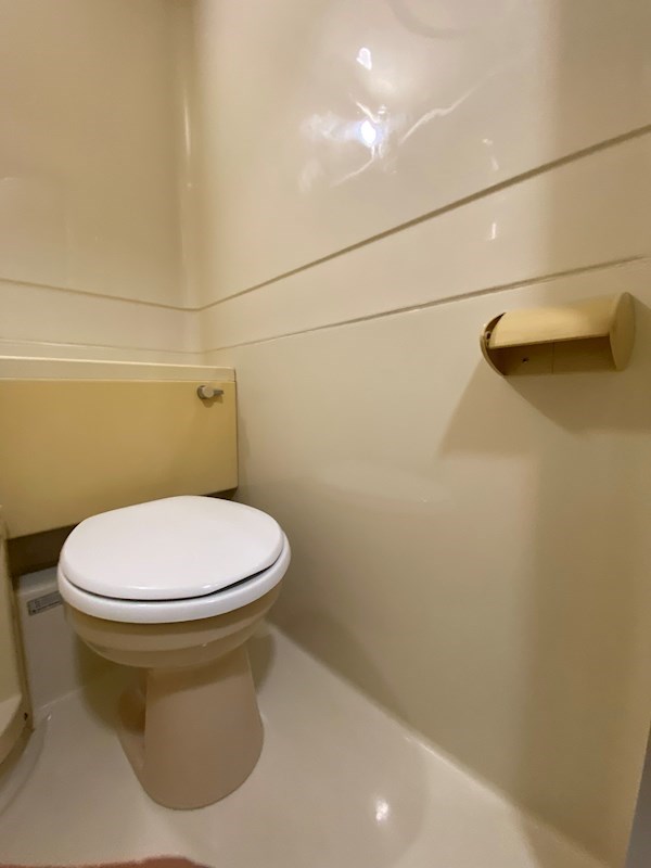 トイレ　トイレも気になるポイント
