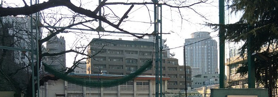 小学校　渋谷区立臨川小学校（小学校）まで707m