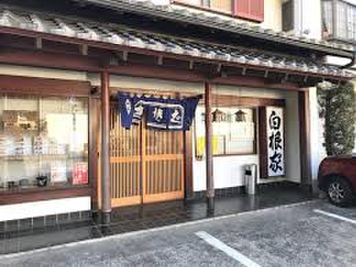 飲食店　白根家（飲食店）まで70m