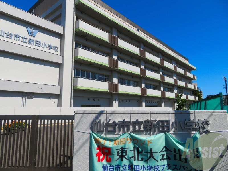 小学校　仙台市立新田小学校（小学校）まで639m