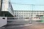 小学校　白鳥小学校（小学校）まで790m
