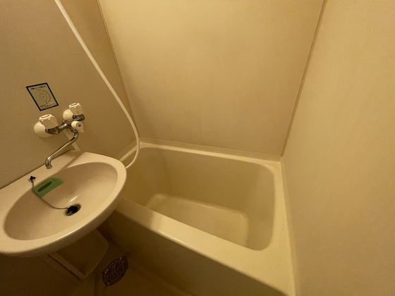 バス・シャワールーム　※別部屋の写真です