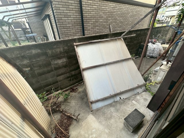 庭