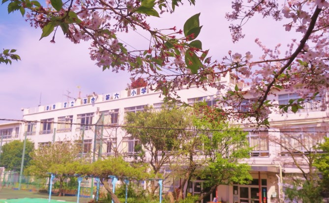 小学校　新宿区立落合第六小学校（小学校）まで588m