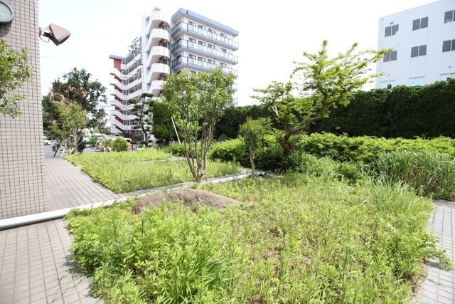 庭　敷地内の植栽