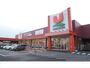 スーパー　ユニバース桔梗野店（スーパー）まで4800m