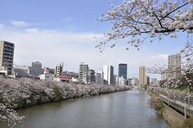 その他　外濠公園（その他）まで1235m