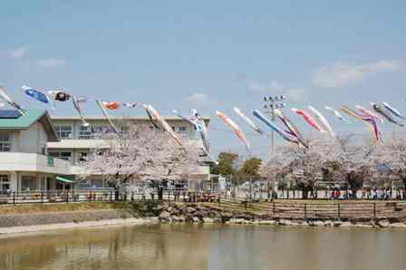 小学校　美濃加茂市立加茂野小学校（小学校）まで873m