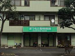 病院　まつもと動物病院（病院）まで224m