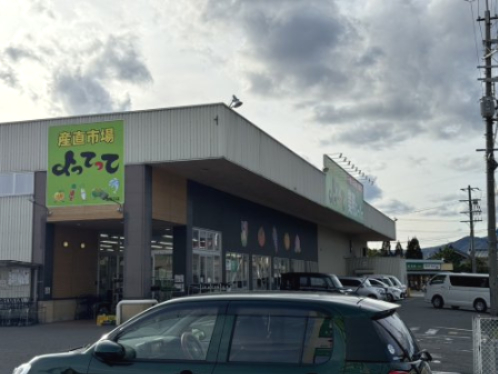 スーパー　業務スーパー高野口店（スーパー）まで252m