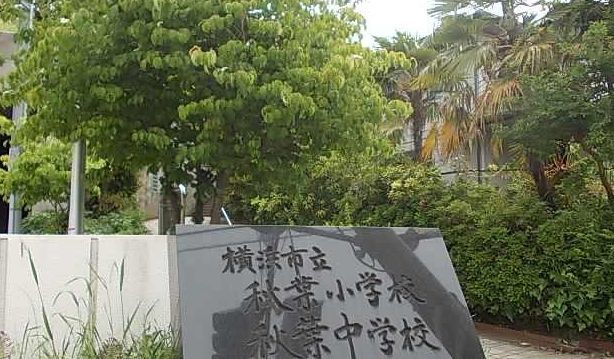 小学校　秋葉小学校（小学校）まで671m