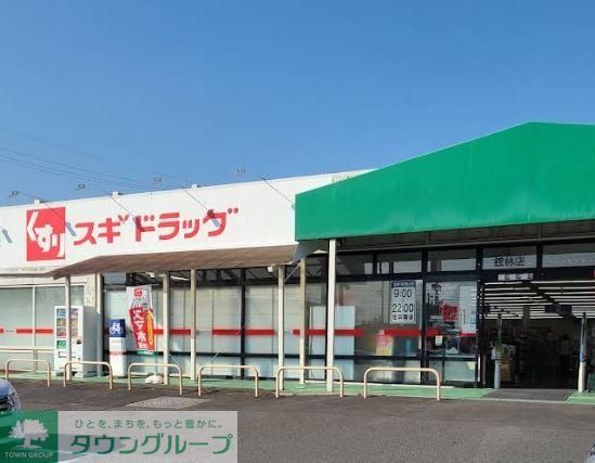 ドラックストア　スギドラッグ館林店（ドラッグストア）まで2870m