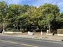 公園　城東公園（公園）まで556m