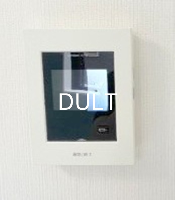 セキュリティ　モニター付きインターホンです。