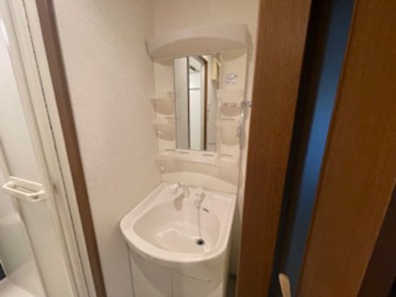 洗面設備　※別部屋の写真です