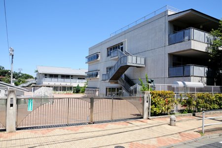 小学校　世田谷区立桜丘小学校（小学校）まで498m