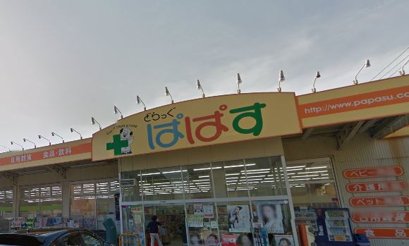ドラックストア　どらっぐ ぱぱす 下丸子店（ドラッグストア）まで650m