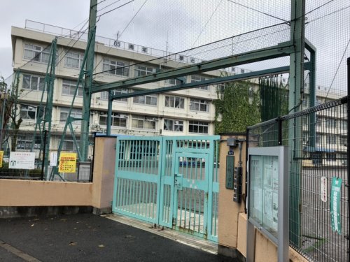 小学校　八幡小学校（小学校）まで550m