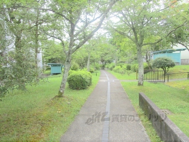 その他　植栽