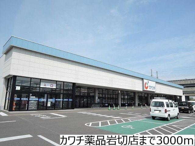 ドラックストア　カワチ薬品岩切店（ドラッグストア）まで3000m