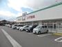 ドラックストア　スギ薬局 寺横店（ドラッグストア）まで358m