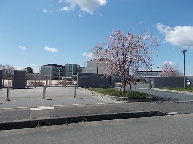 小学校　石岡市立東小学校（小学校）まで750m