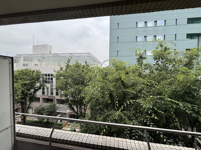 眺望　クリーニング前写真