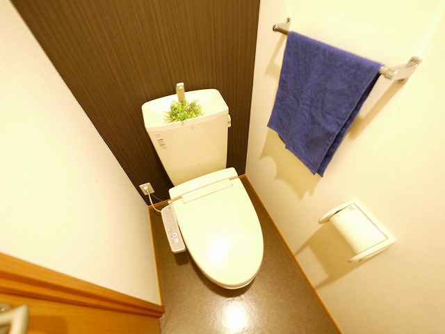 トイレ　トイレも気になるポイント