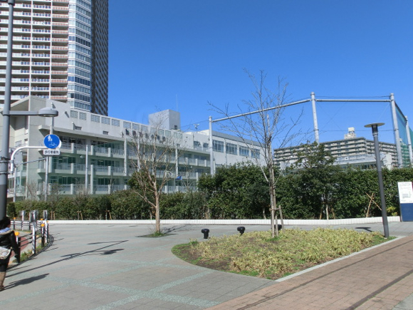 小学校　江東区立豊洲小学校（小学校）まで292m