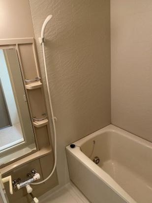 バス・シャワールーム　バス※別部屋参考写真