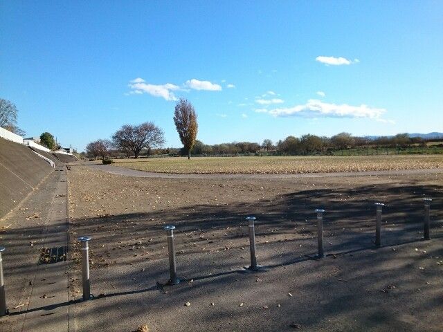 公園　倉賀野緑地河川公園（公園）まで1100m
