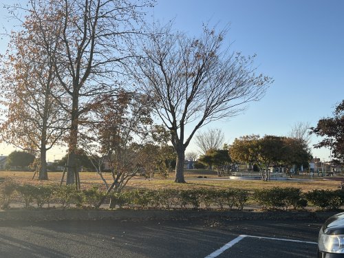 公園　鏡ケ池公園（公園）まで439m