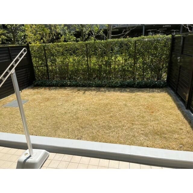庭