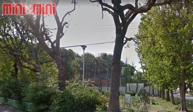 公園　宇治川公園（公園）まで381m