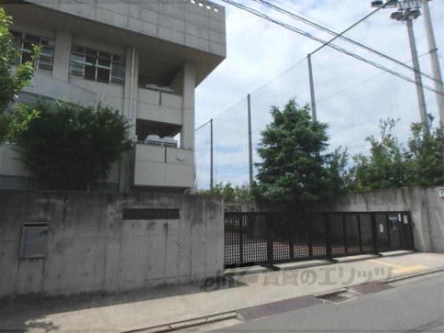 中学校　七条中学校（中学校）まで800m