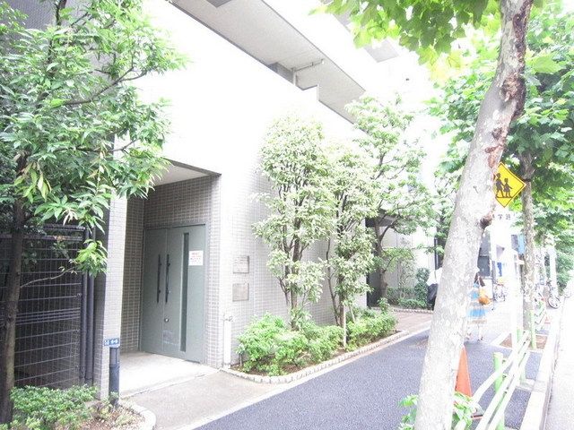 庭　植栽