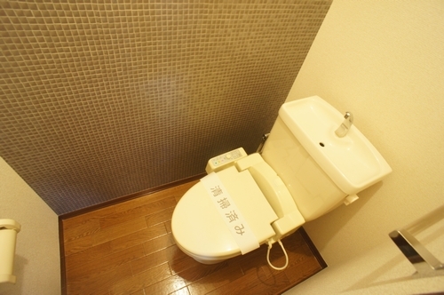 湘南新宿ライン宇須 小山駅 徒歩69分 2階建 築27年のトイレ写真