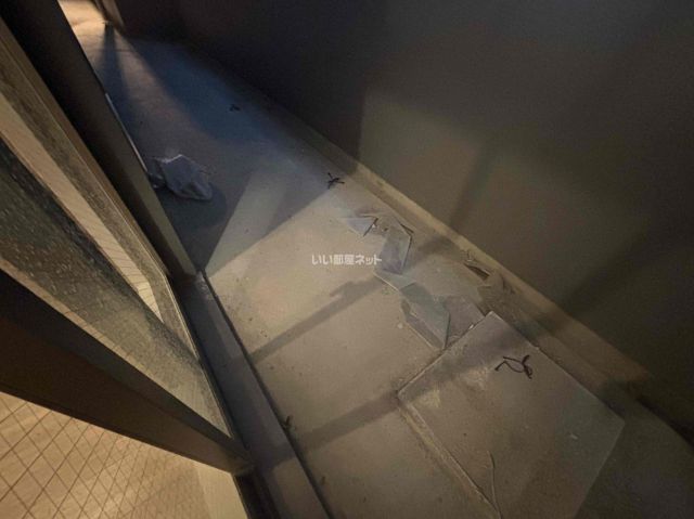 セレニテ神戸駅前アリエの内装写真