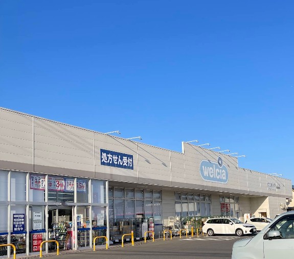 ドラックストア　ウエルシアつくば東店（ドラッグストア）まで1079m