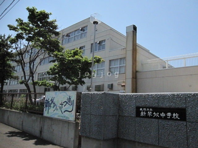 その他　札幌市立新琴似中学校（その他）まで589m